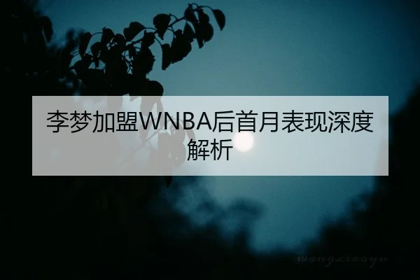 李梦加盟WNBA后首月表现深度解析